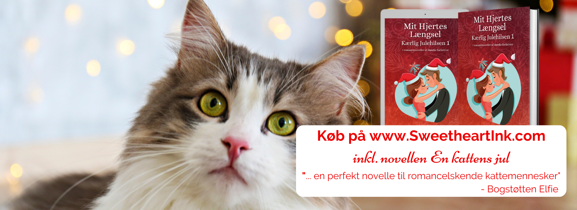 Mit Hjerte Længsel: Kærlig Julehilsen 1 inkl. novellen En Kattens Jule af Vibeke Vestergaard